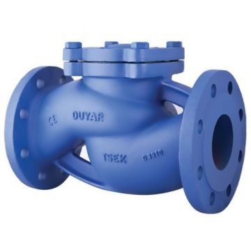 DN300 PN16 FLANŞLI YAYLI ÇEKVALF DUYAR